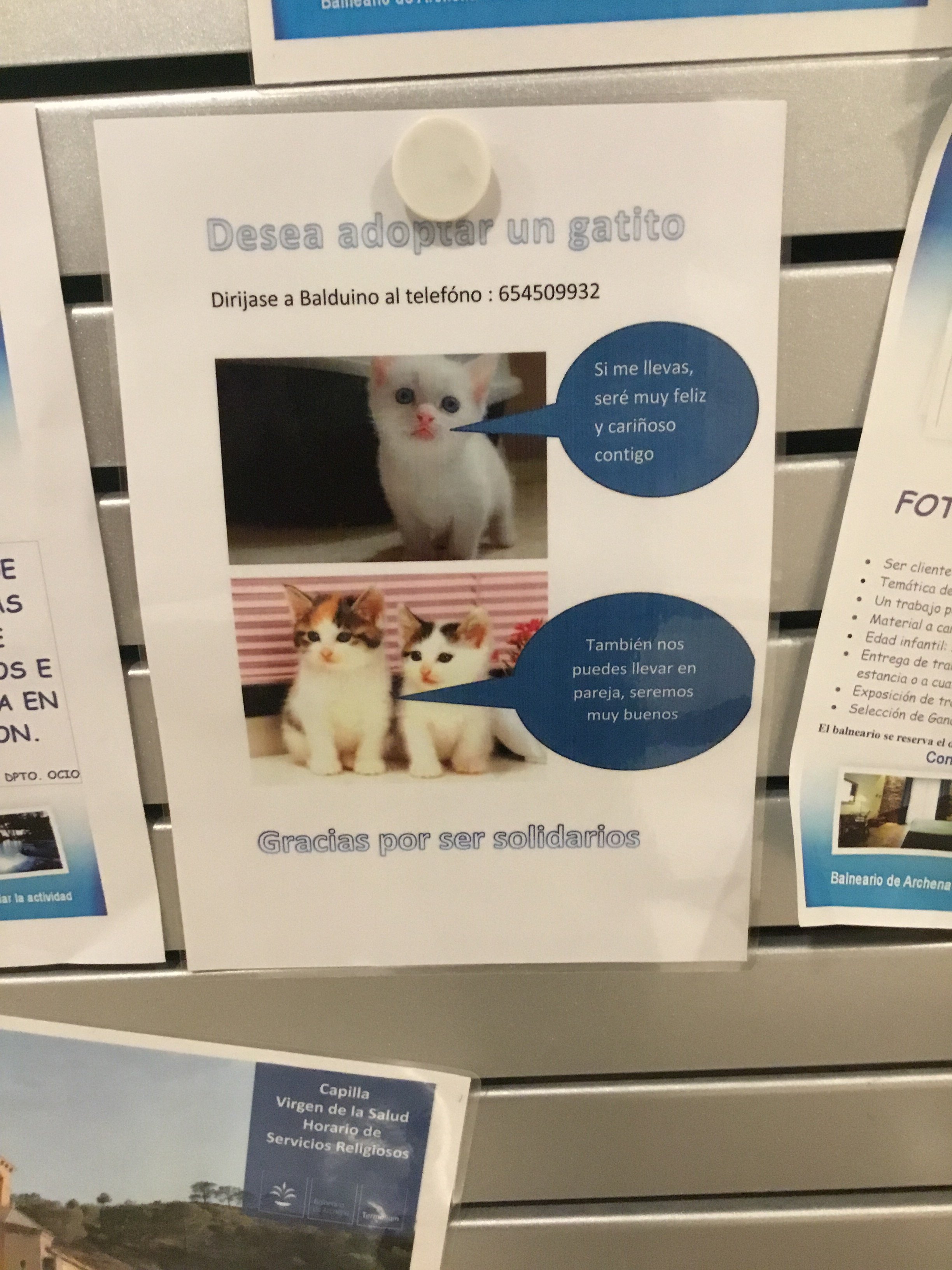 Balneario de Archena - Hotel Levante-家庭/游戏区