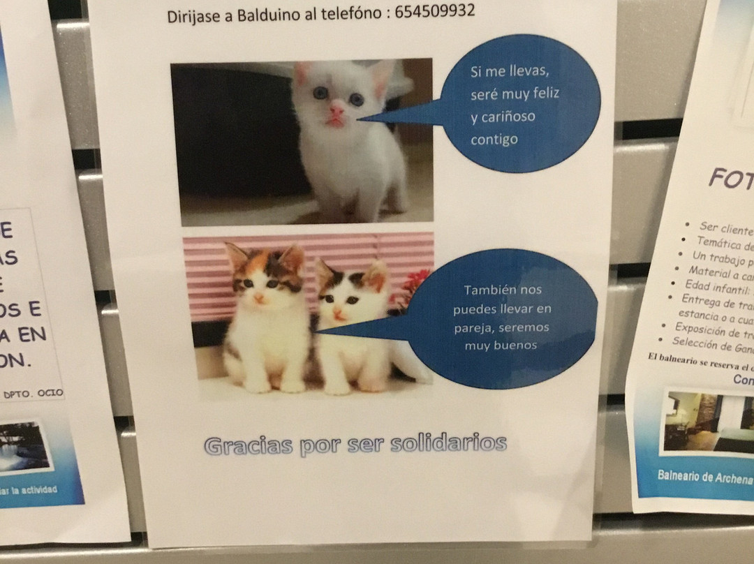 Balneario de Archena - Hotel Levante主图