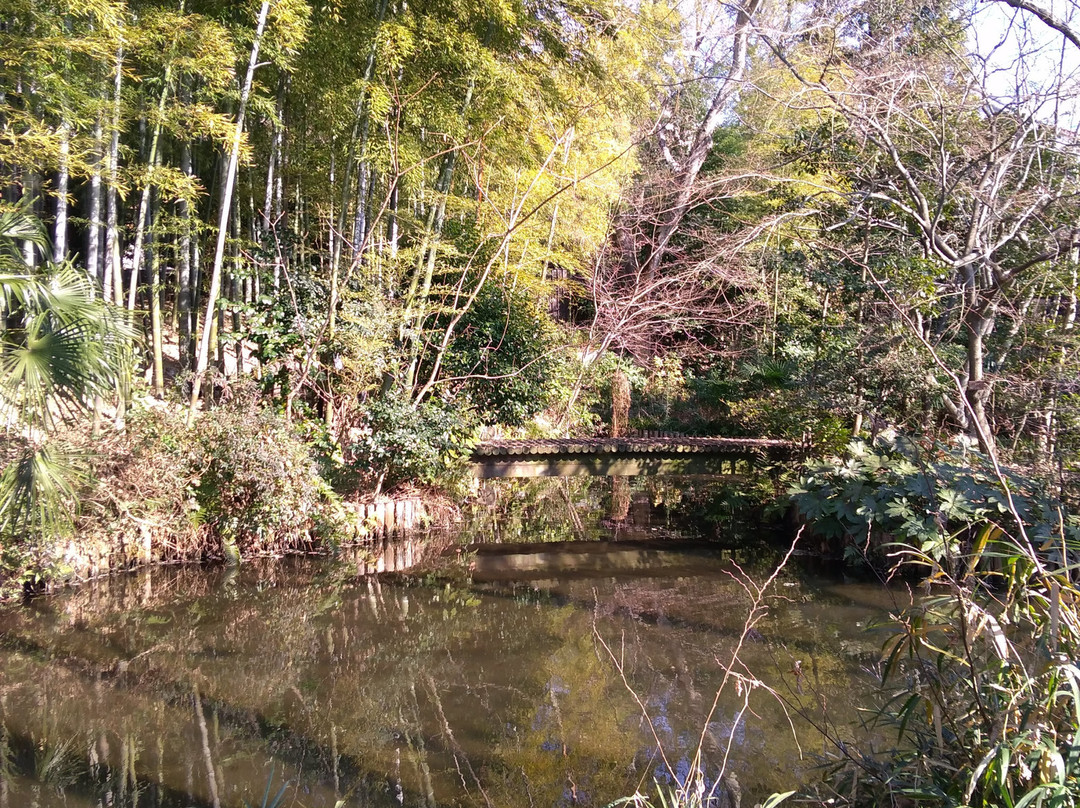 Mushano Koji Saneatsu Memorial Museum景点图片