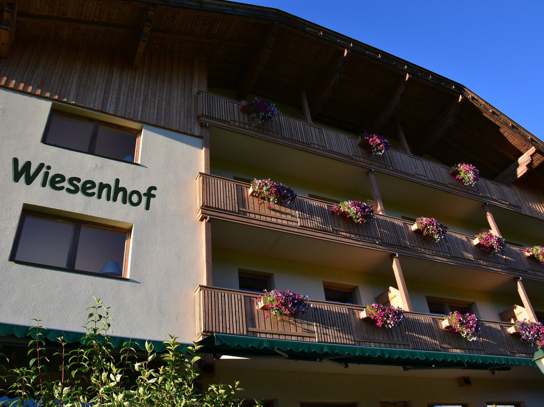 Hotel Wiesenhof - direkt am See主图