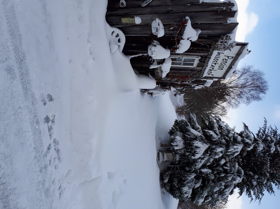 Pension Schuasterhof主图