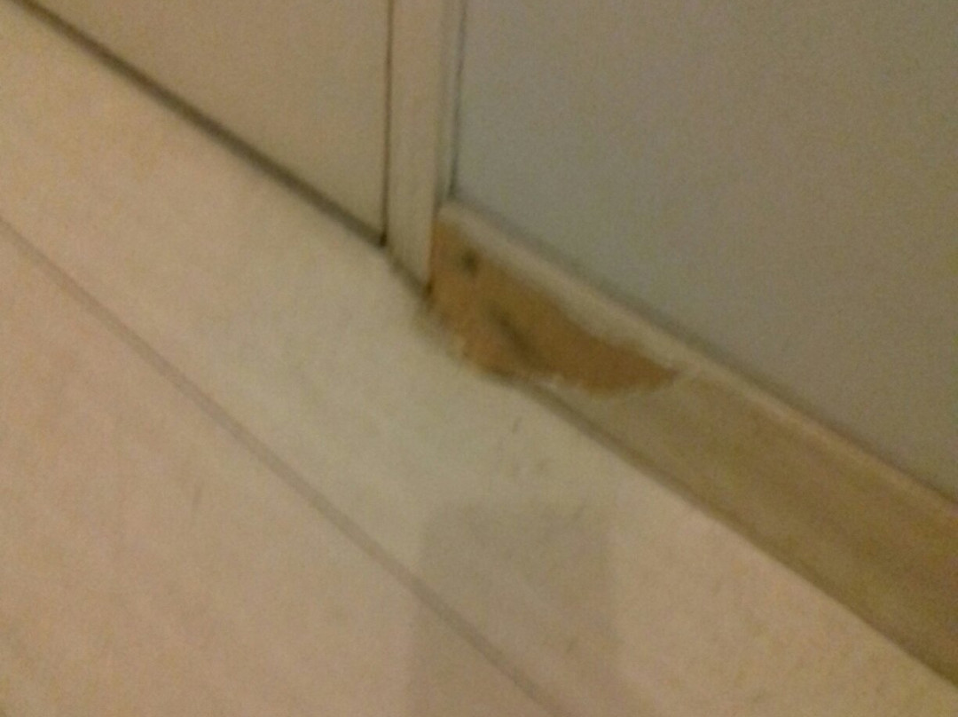 Hotel Fernandao主图