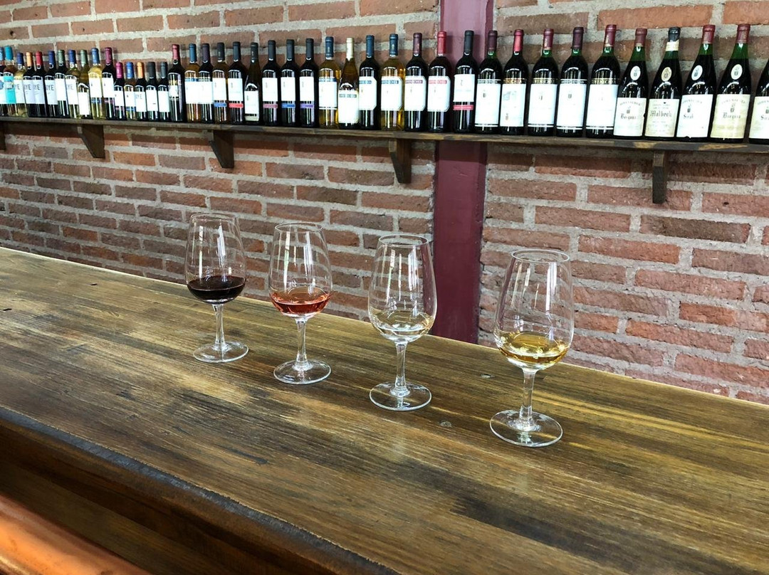 Bodega Goyenechea-圣拉斐尔必去景点