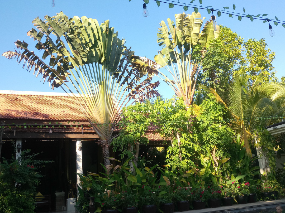 保护区别墅度假村酒店主图