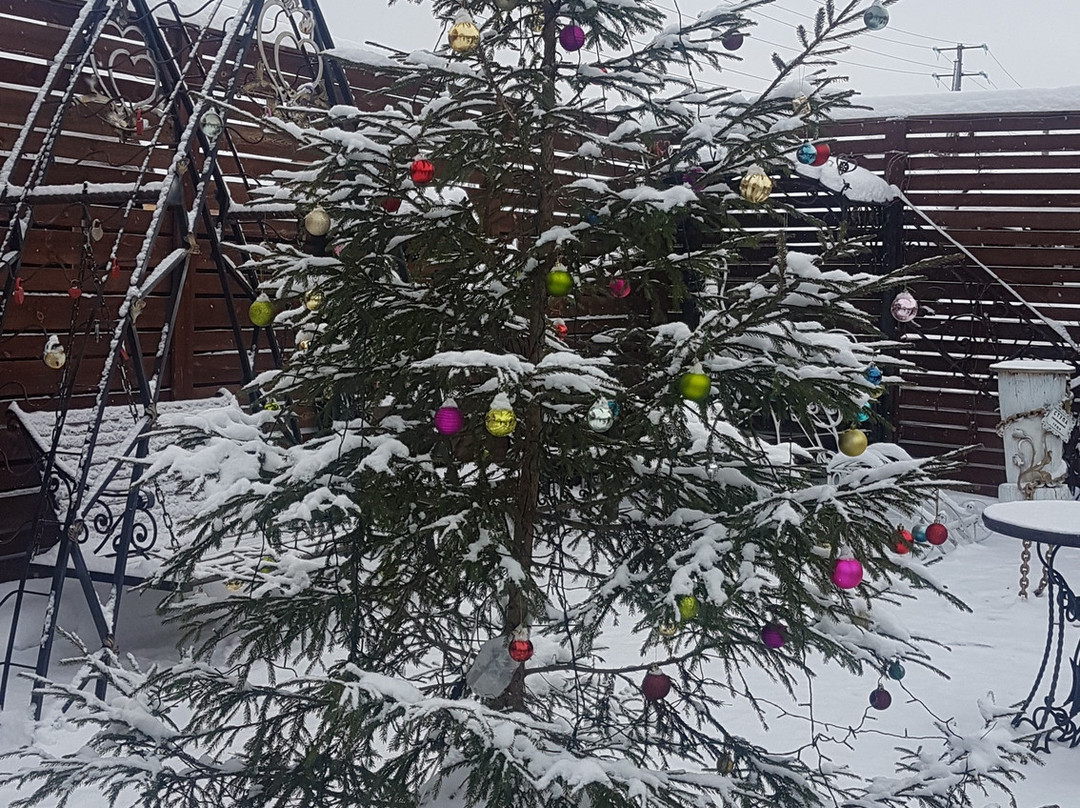 Kuznechny Dvor主图