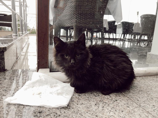 Büyükada Comfort Hotel主图