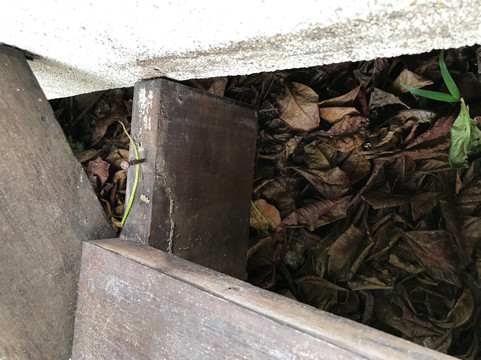 巴拉利海滩度假村主图