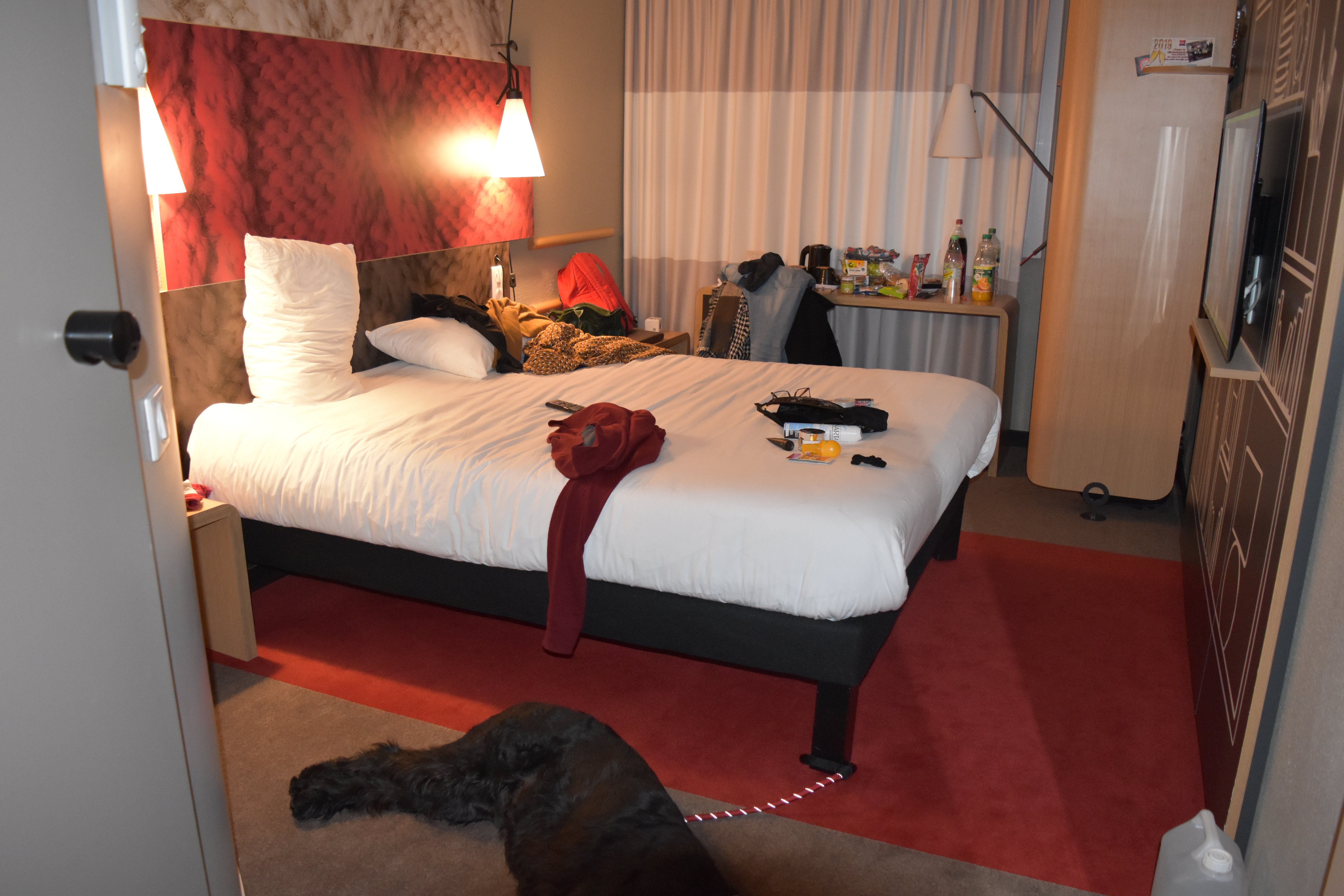 Ibis Arcachon La Teste Hotel-酒店景观