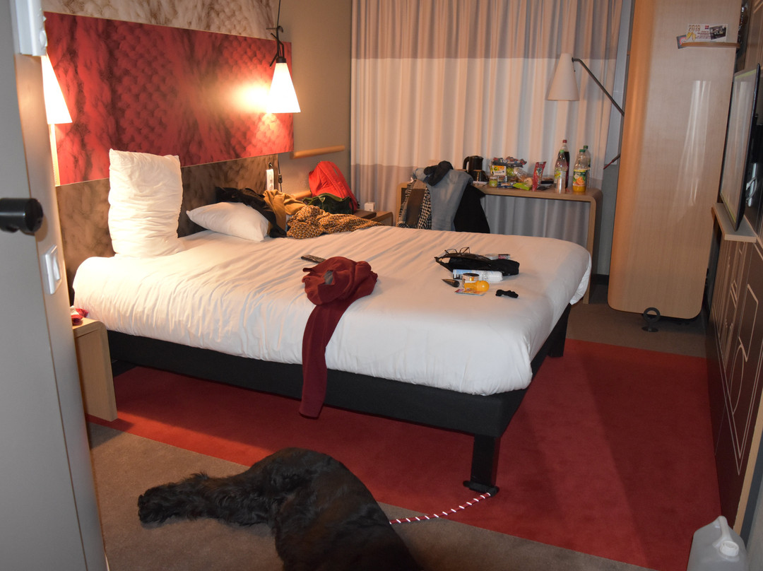 Ibis Arcachon La Teste Hotel主图