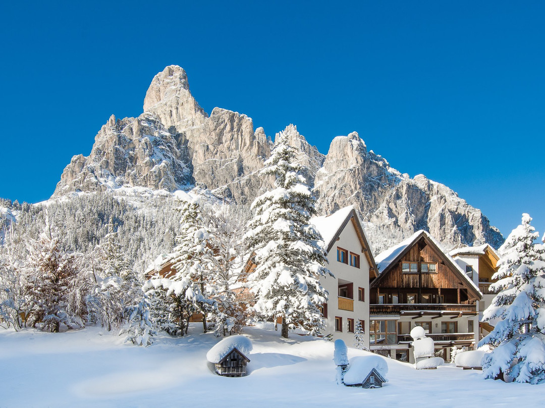 Residence Chalet Pinis