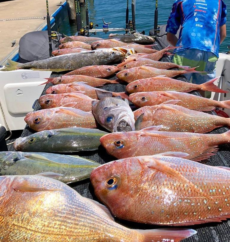 Yamba Fishing and Charters景点图片