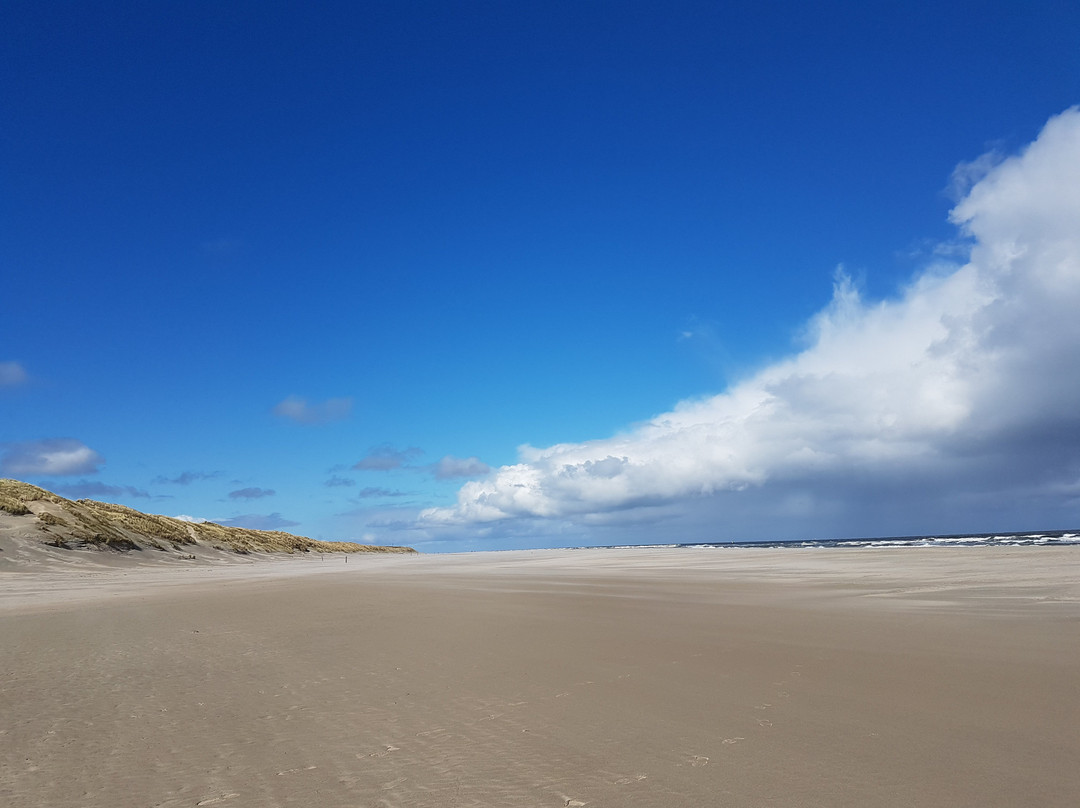 弗利兰岛酒店住宿-Badhotel Bruin