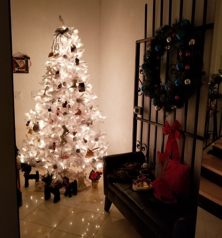 Country Dream Bed and Breakfast主图