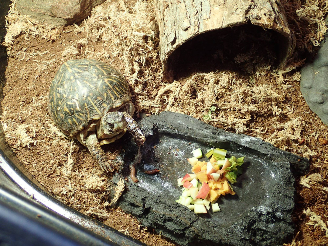 Lake Iowa Park-Ladora必去景点