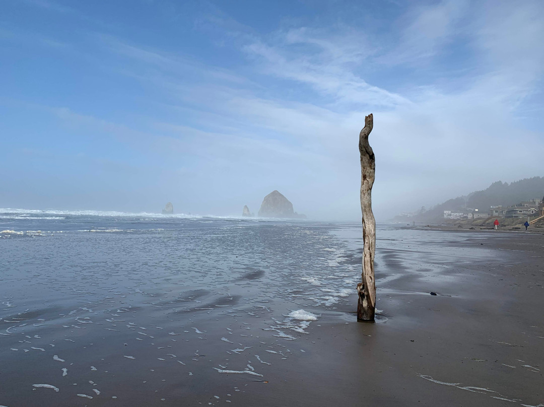 Tolovana Beach State Recreation Site-坎农比奇必去景点