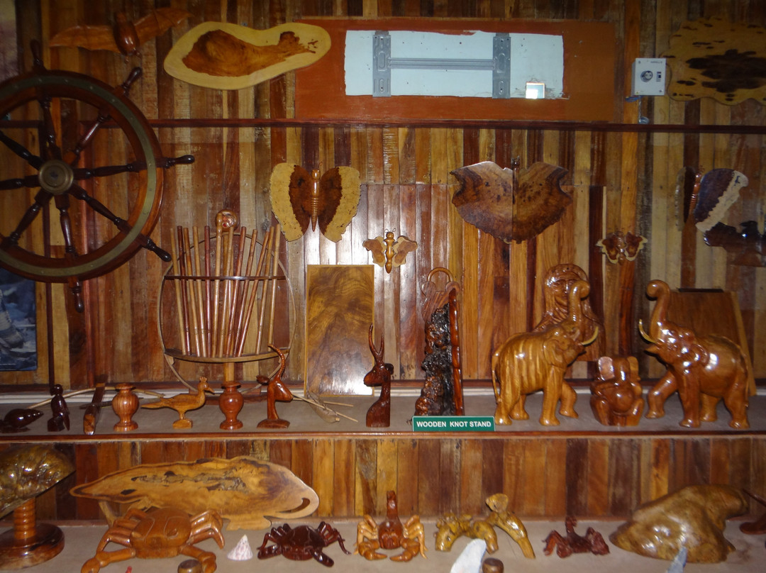 Forest Museum-布莱尔港必去景点