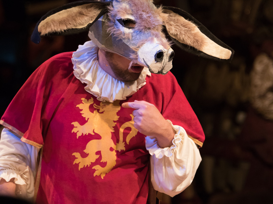 The Center for the Arts & Sciences-Clute必去景点