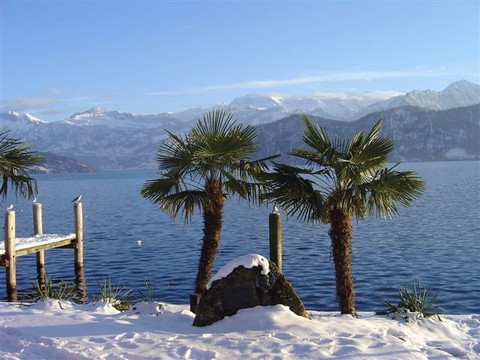 Tourist Information Weggis-韦吉斯必去景点