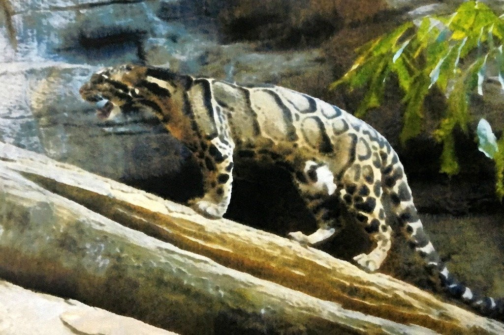 Sepahijala Wildlife Sanctuary景点图片
