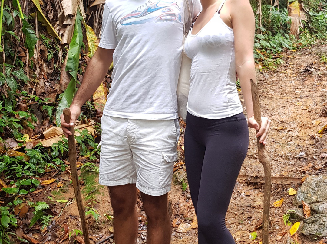 Seven Sisters Waterfalls Grenada-Grand Etang National Park必去景点
