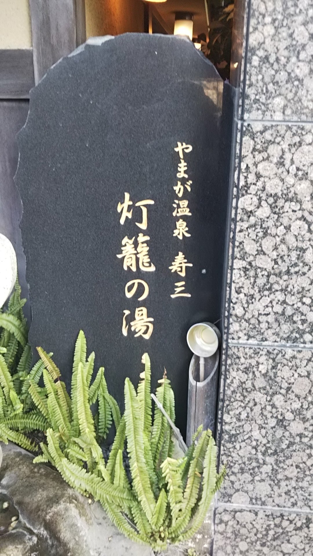 Yamaga Onsen Sumi-浴室