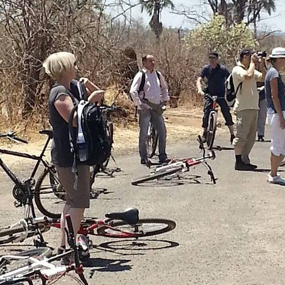 null-Lower Zambezi National Park