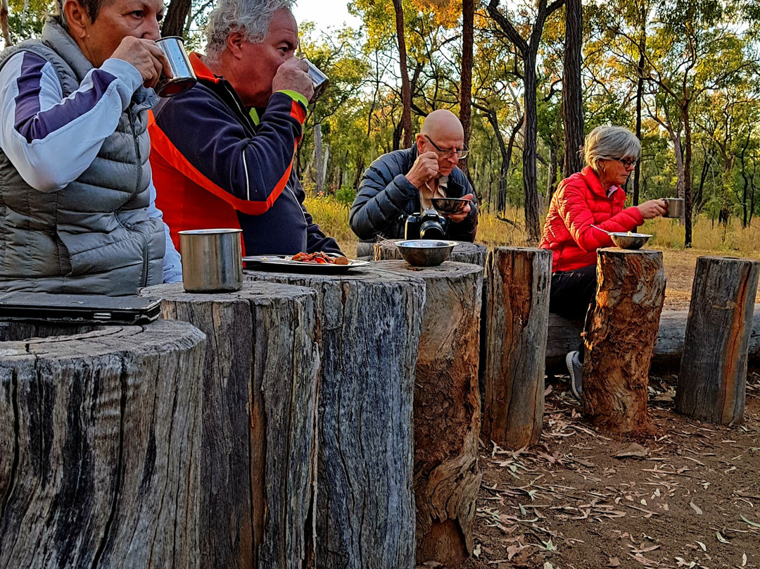 Mulga Bicycle Tours-堪培拉必去景点