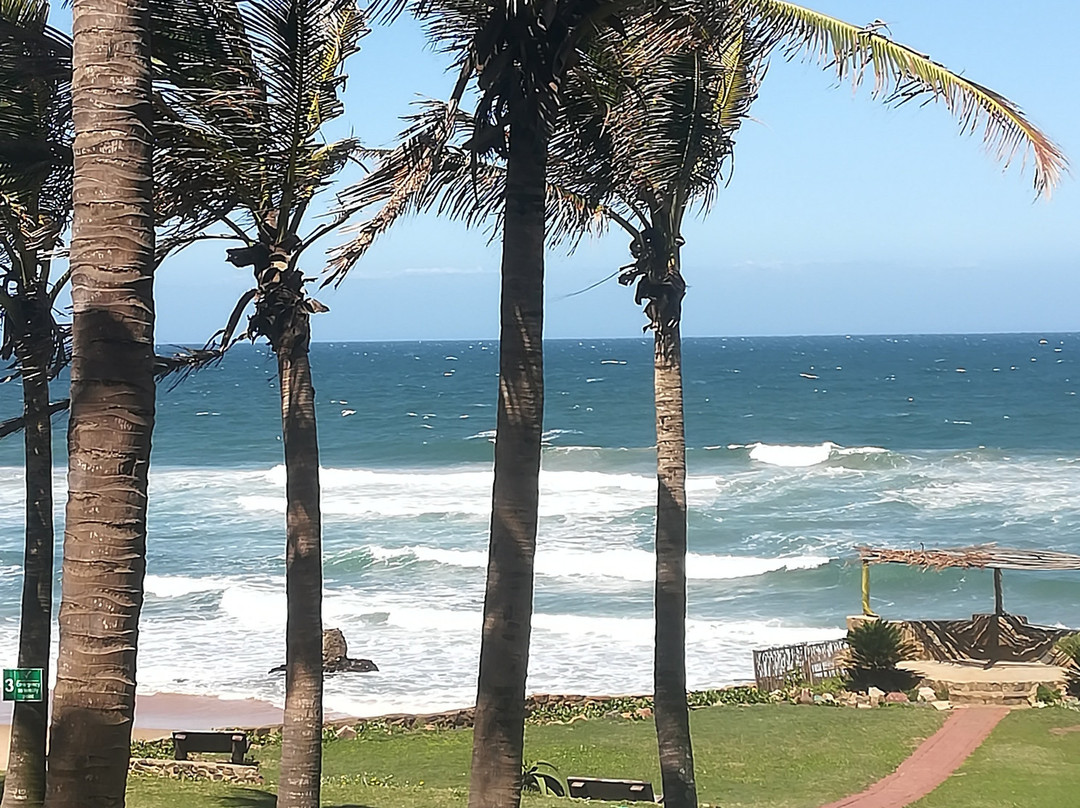 Salt Rock Hotel & Beach Resort主图