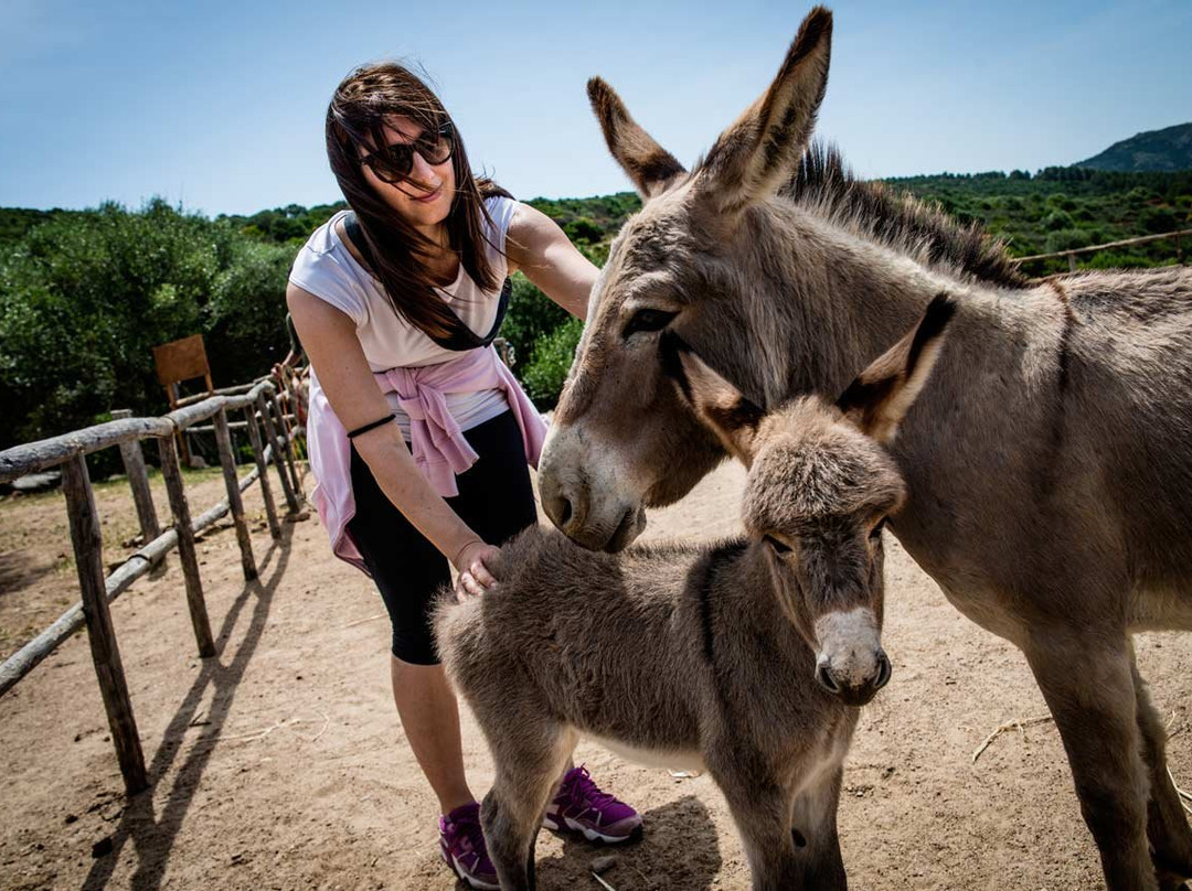 Do Donkey - Trekking con l'asino-Domus de Maria必去景点
