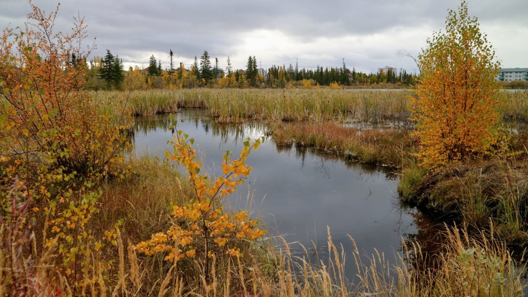 Niven Lake Trail-黄刀镇必去景点