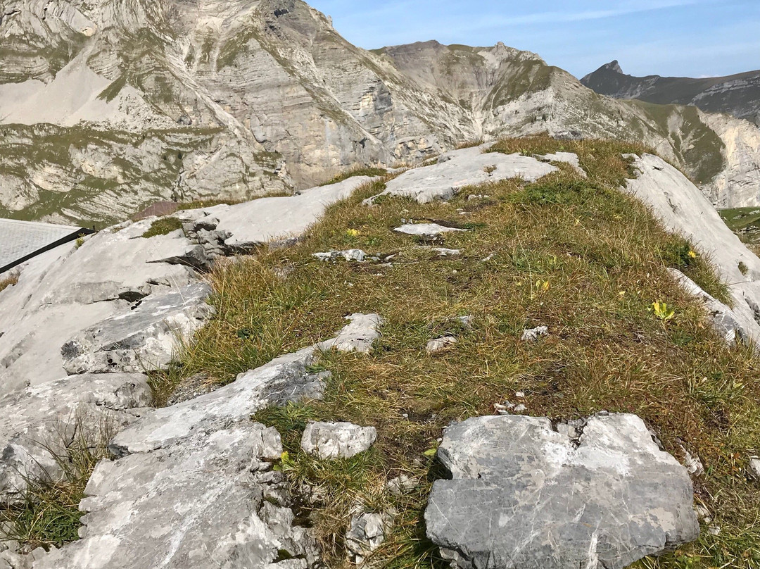 Hochstollen Wanderweg-Melchsee-Frutt必去景点