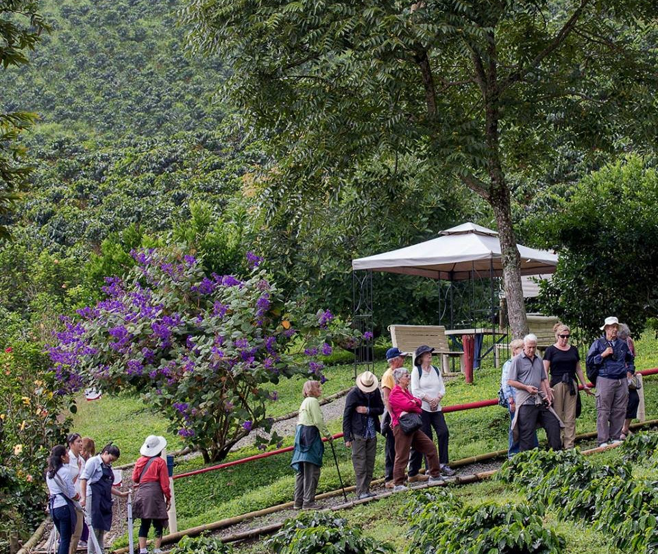 Cafe San Alberto-布埃纳维斯塔必去景点