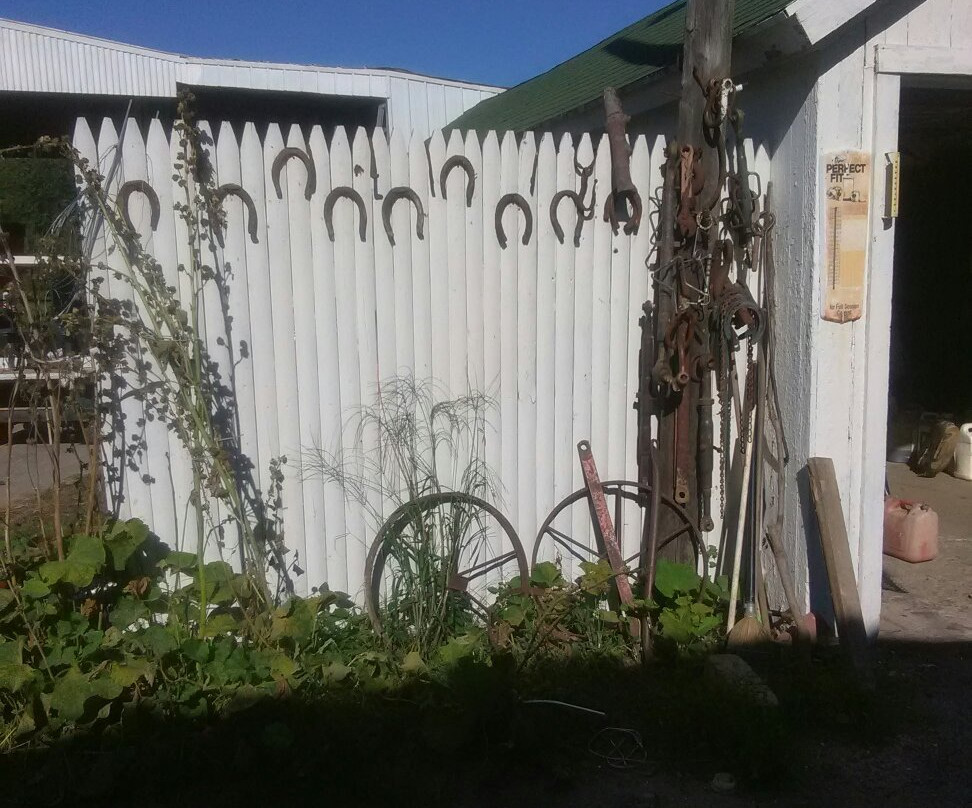 Blackman Homestead Farm景点图片