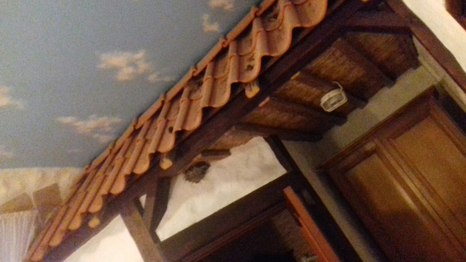 Üksik Rüütel-官方