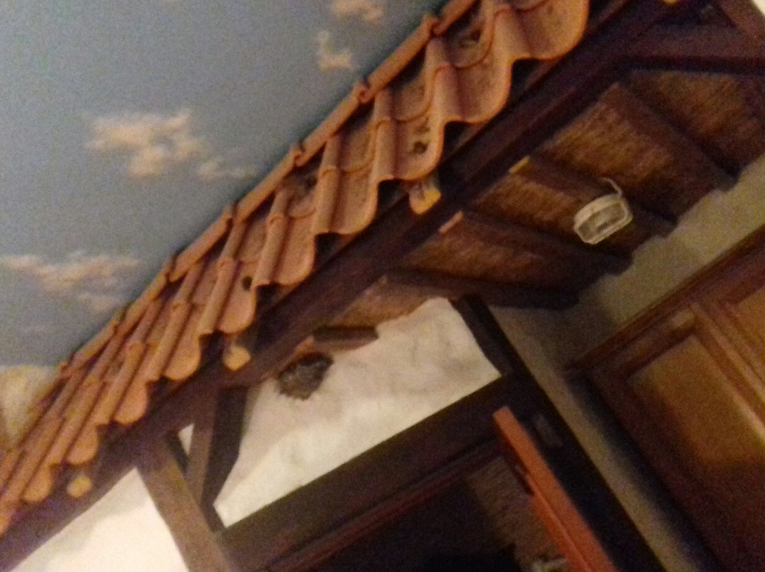 Üksik Rüütel主图