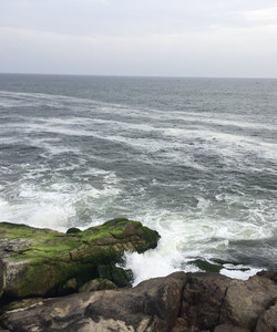 Aazhimala Siva Temple景点门票图片