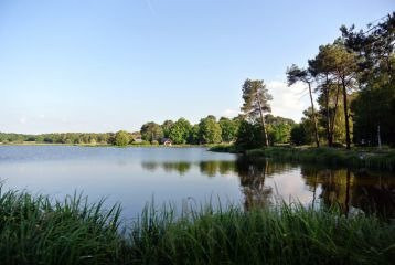 Lac de Rille景点图片