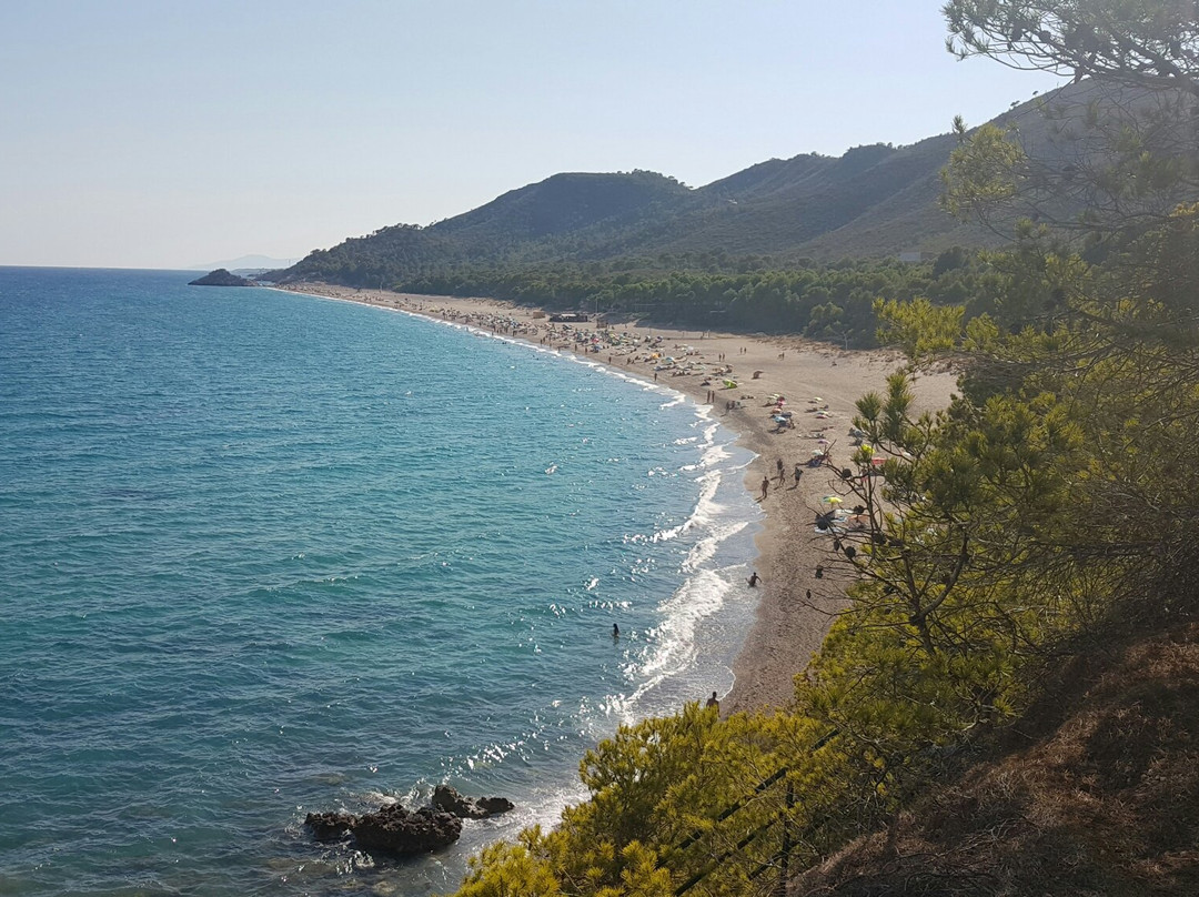 Playa El Torn Naturist Beach景点图片
