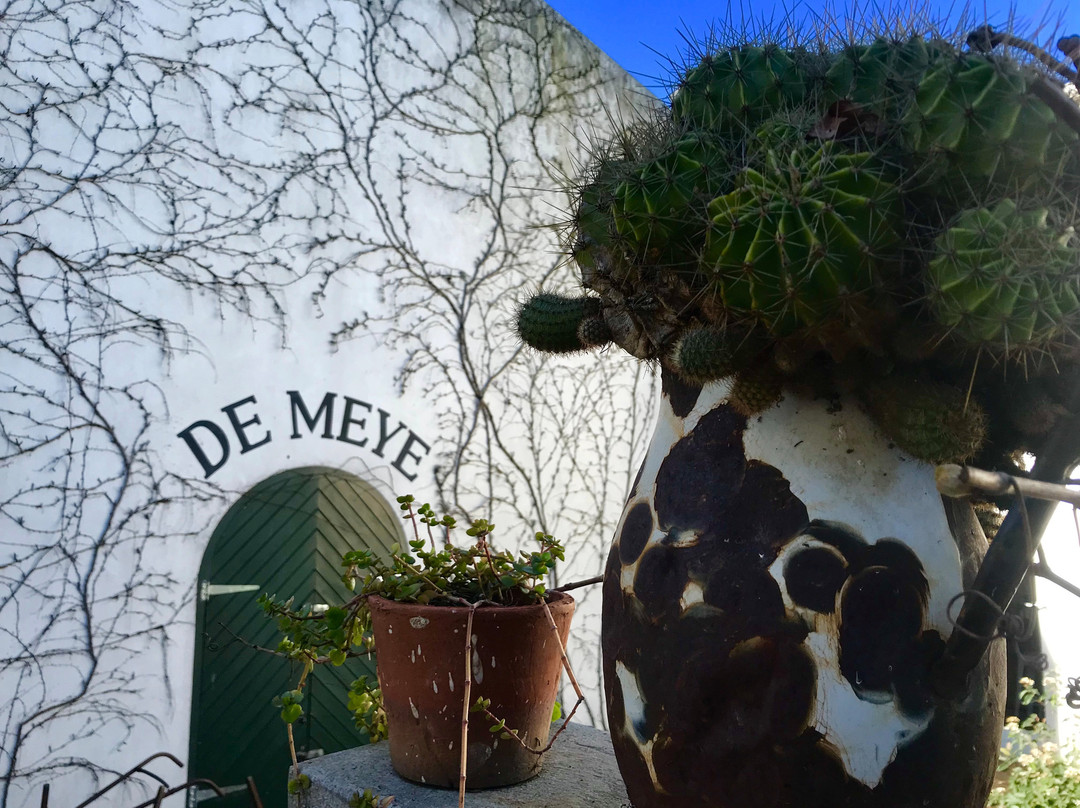 De Meye Wines-斯泰伦博斯必去景点