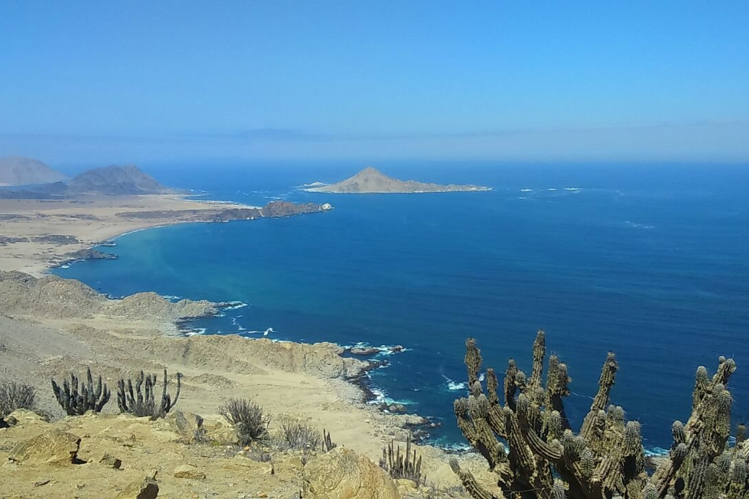 Pan de Azucar National Park景点图片