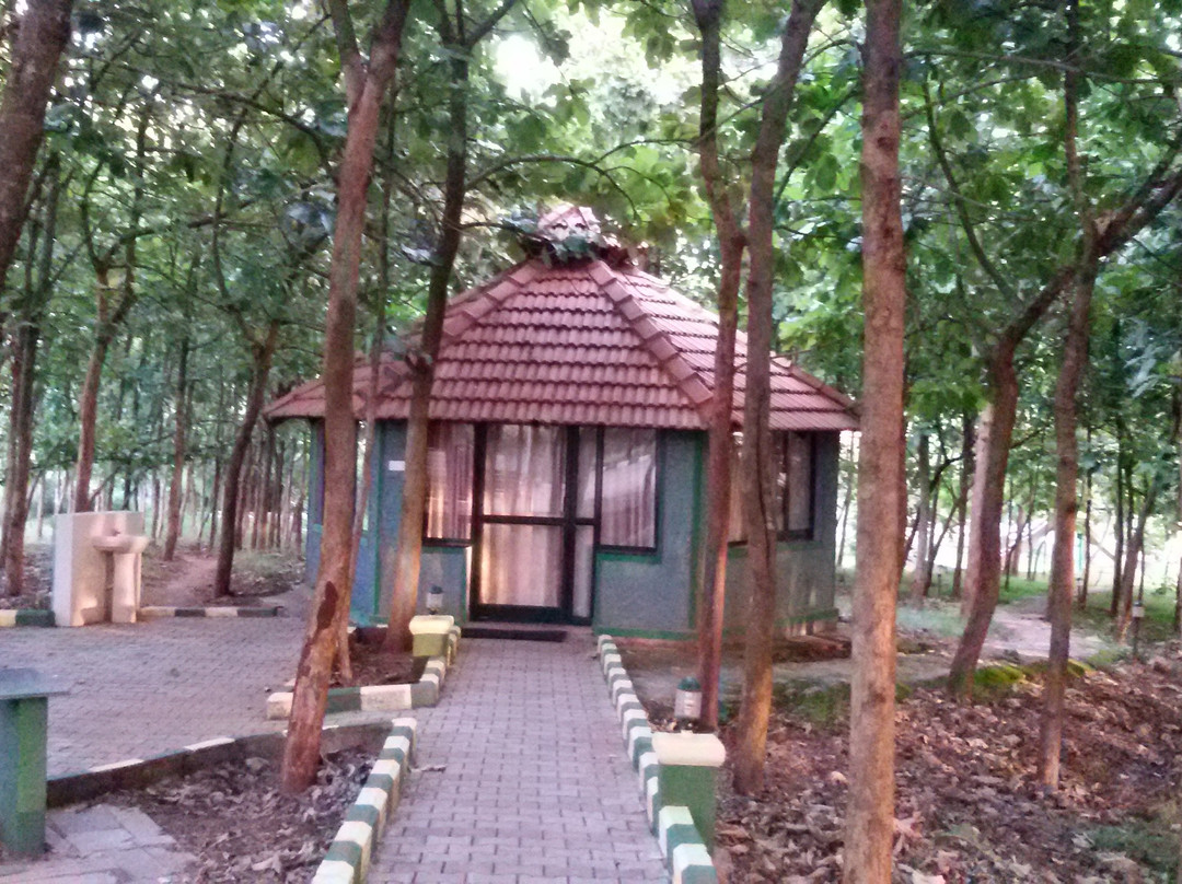 Mc Resort Bandipura主图