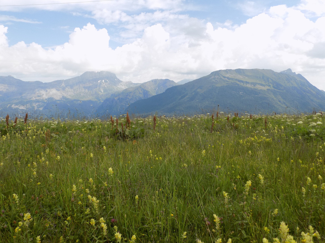 Grand Balcon Nord: Bellevue-Prarion
