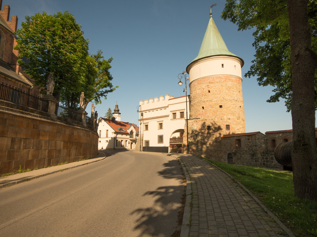 Historic Town Hall - Ratusz景点图片
