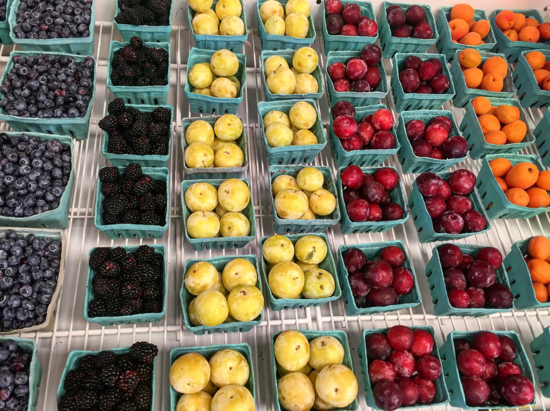 Paulus Farm Market-梅卡尼克斯堡必去景点