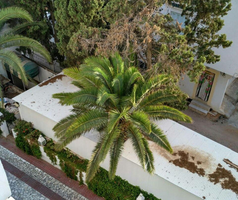 Hotel Residence Mahmoud主图