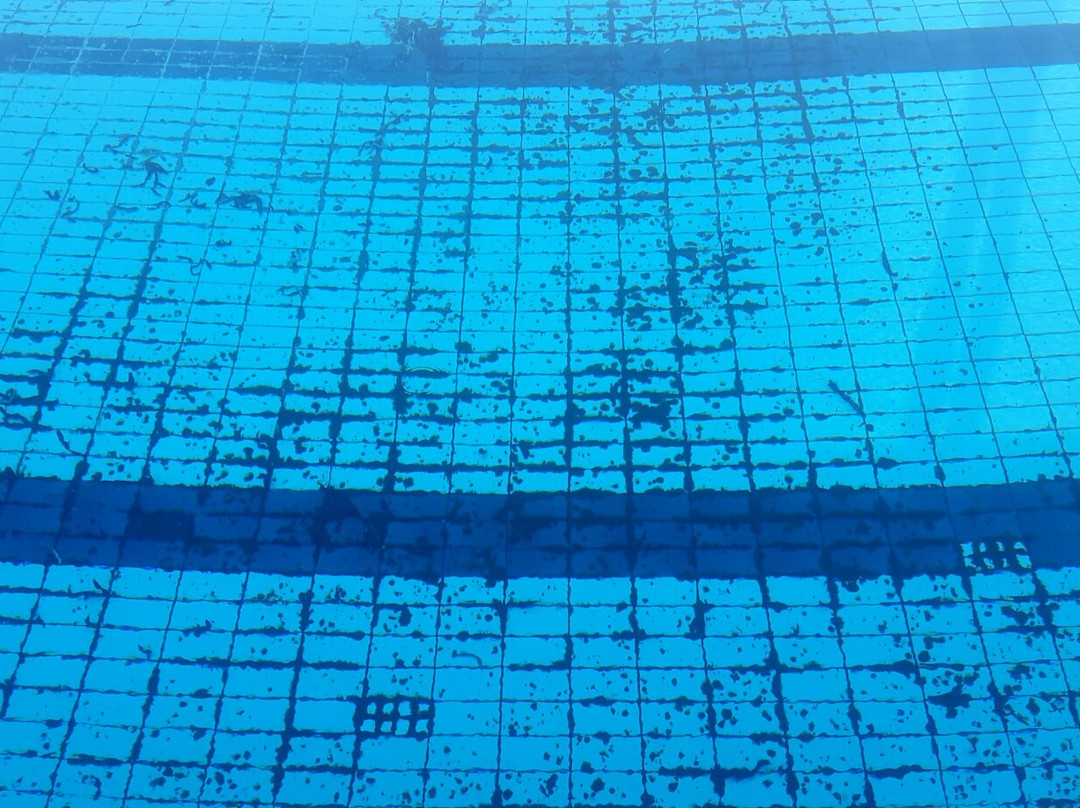Thermal Bath Leanyfalu景点图片