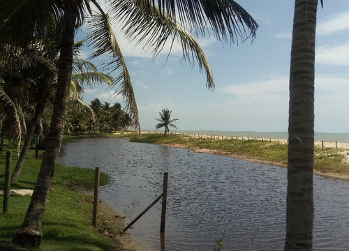 Praia de Alcobaça-Alcobaca必去景点