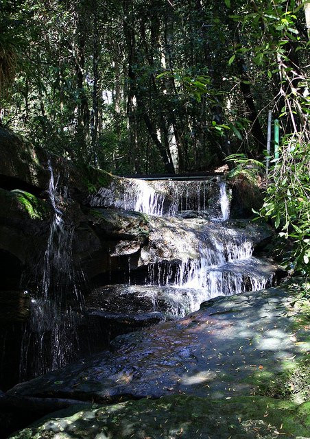 Birdwood Gully Park景点图片