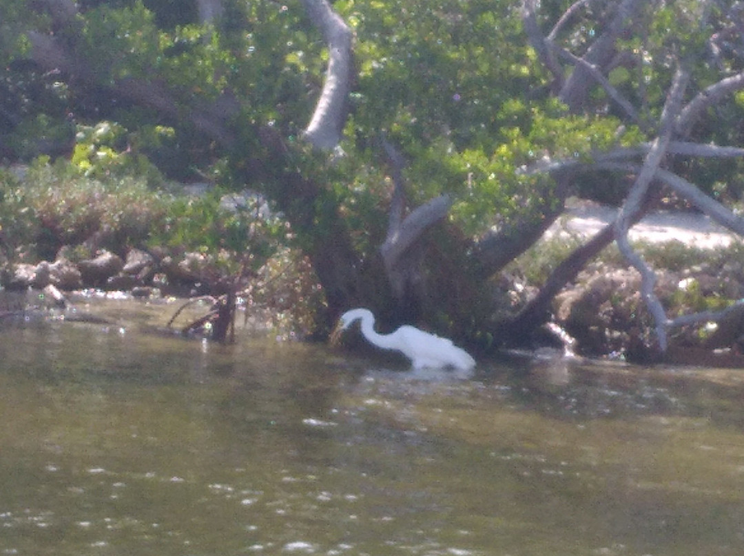 Reel Time Fishing Charters-布雷登顿必去景点