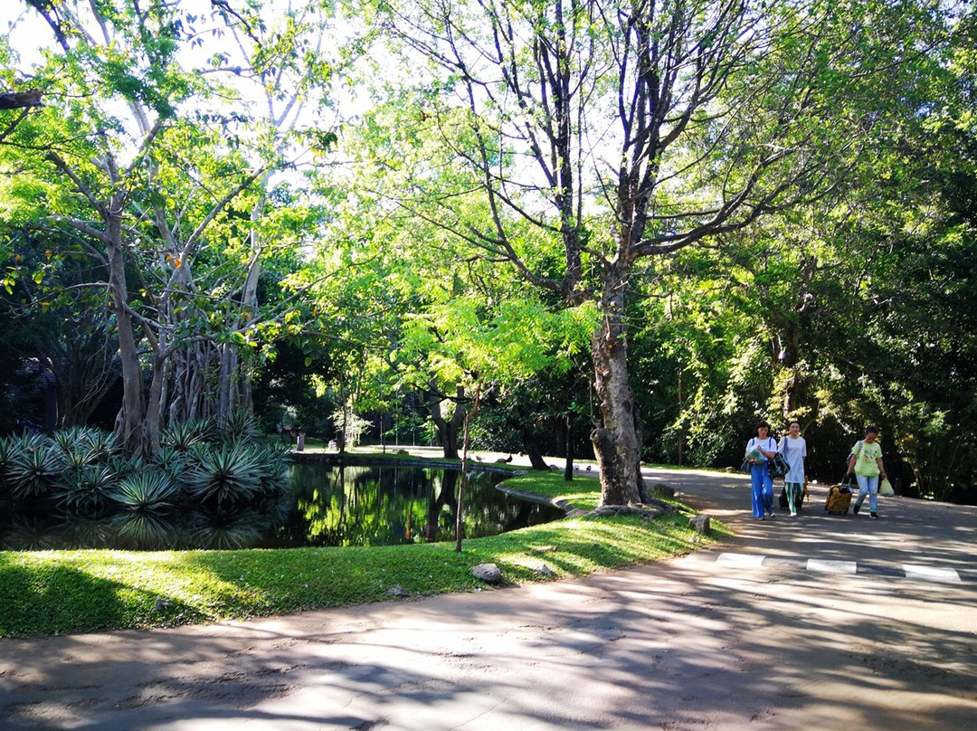 锡吉里亚村酒店主图